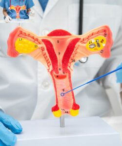 Best Laser Vaginal Rejuvenation in Hyderabad